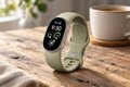 Google Finally Explains the Fitbit Edge's Missing Wallet, and the Number Is Brutal