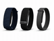 Garmin CIRQA vs Whoop 5.0 vs Fitbit Air: The Screenless Tracker War