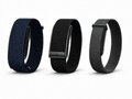 Garmin CIRQA vs Whoop 5.0 vs Fitbit Air: The Screenless Tracker War